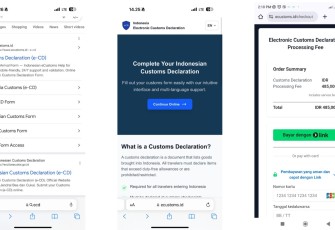 Situs Palsu Ecustoms.id Diduga Digunakan untuk Penipuan dan Pencurian Data