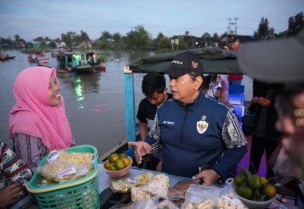 Wakil Menteri Transmigrasi Viva Yoga Mauladi