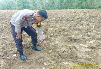 Bhabinkamtibmas Polsek Belitang III Cek Lahan Satu Desa Satu Hektar Desa Nusa Agung