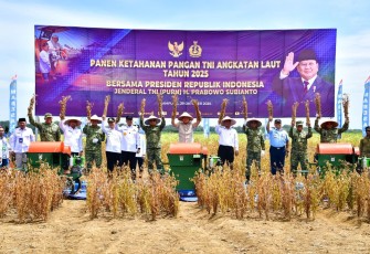 TNI AL Panen Komoditas Kedelai Variates Unggulan di Lampung 