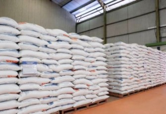 Ilustrasi stok beras di gudang Bulog