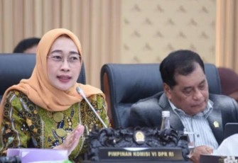 Ketua Komisi VI DPR RI Anggia Erma Rini