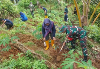 Aksi penanaman pohon di kawasan Bukit Jatuh, Desa Gemaharjo, Sabtu (29/11/2025).