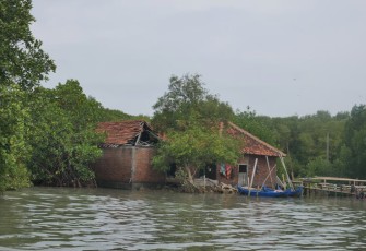 Lokasi penanaman di wilayah Bedono, Demak (Foto: Tim LindungiHutan)