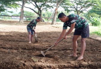 Anggota Kodim 0801/Pacitan Buat Bedeng Untuk Ditanami Sayur