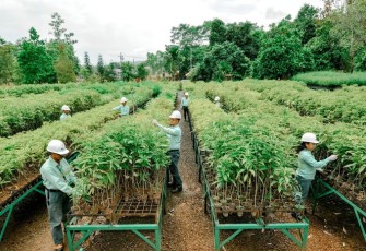 MIND ID Kokohkan Fondasi ESG untuk Hilirisasi dan Masa Depan Berkelanjutan Indonesia