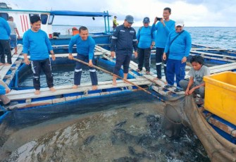 Dokumentasi MIND ID Pendampingan Budidaya Ikan Laut