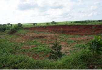 Penghijauan Berbasis Komunitas di Desa Koranji, Subang