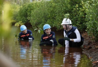 Program Keberlanjutan ANTAM, Peta Jalan Dekarbonisasi Hingga Operasional Berbasis ESG