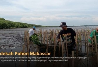 Program Sedekah Pohon oleh LindungiHutan di Makassar