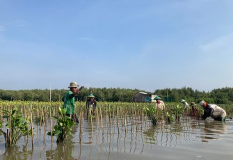 LindungiHutan Ajak Publik Rayakan Hari Menanam Pohon
