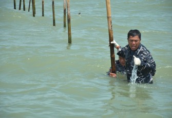TNI AL Terus Lanjutkan Pencabutan Pagar Laut di Kronjo, Tangerang, Banten. Rabu (05/02).