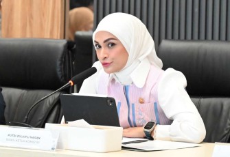Wakil Ketua Komisi XII DPR RI, Putri Zulkifli Hasan 