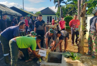 penyembelihan hewan kurban