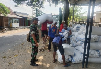 Babinsa Ngrambe Kawal Sergap 12,6 Ton Gabah Terserap ke Bulog