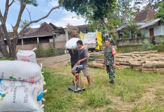 Babinsa Ponorogo Lakukan Pendampingan Bulog Beli Gabah Petani