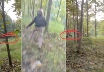 Cuplikan video Viral Petugas Perhutani Gagalkan Pencurian Kayu Jati
