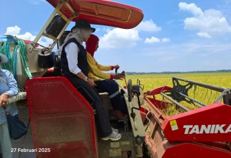 Direktur Bisnis Perum Bulog, Febby Novita saat meninjau langsung lokasi penyerapan gabah di Cikesik Pandeglang, Kamis (27/2/2025)