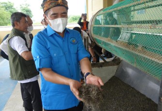 KKP Peringati HGN dengan Perkuat Hilirisasi Rumput Laut di Karawang