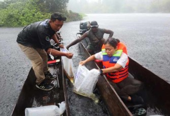 Pelepasliaran 234 ekor ikan arwana Irian di Taman Nasional Wasur, Merauke