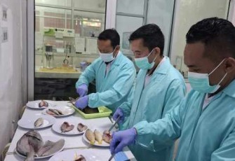 Pengujian laboratorium ikan hasil destructive fishing 