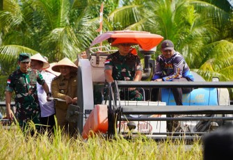Danrem 121/ABW Dampingi Pangdam XII/TPR dan Pemrov Kalbar Ikuti Panen Raya Padi