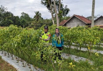 Personel Polsek Belitang III Lakukan Pengecekan Lahan Warga
