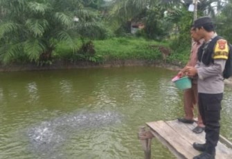 Polsek Belitang III Dukung Ketahanan Pangan Budi Daya Ikan Lele