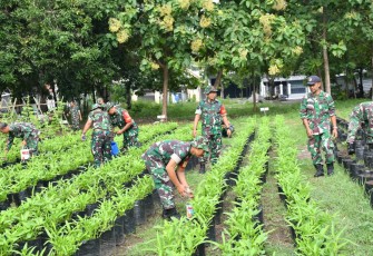  Berbagai jenis sayuran ditanam di lahan milik Kodim 0802/Ponorogo yang berlokasi di belakang dapur Satuan Pelayanan Pemenuhan Gizi Kabupaten Ponorogo Jl. Veteran Kelurahan Surodikraman Kecamatan / Kabupaten Ponorogo, Rabu (26/02/2025)