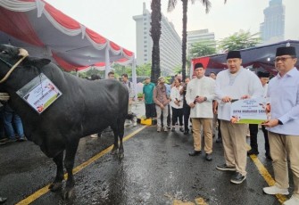 Menteri PKP Maruarar Sirait menyerahkan hewan qurban 