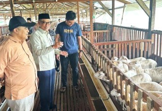 Anggota Komisi X DPR RI Abdul Fikri Faqih (kemeja putih) saat meninjau peternakan domba di Kabupaten Tegal 