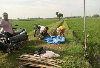 Pendampingan petani wilayah desa binaan 