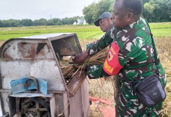 Bantu panen padi warga binaan