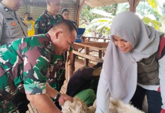 Pendampingan vaksin PMK di wilayah desa binaan 
