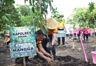 Peduli lingkungan tanam pohon