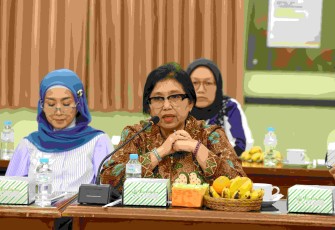 Anggota BURT DPR RI Irma Suryani