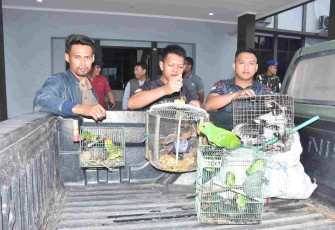 TNI AL gagalkan penyelunfupan satwa dilindungi