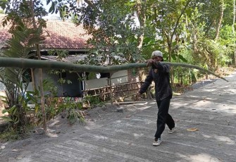 Antusias warga bantu membawa bambu untuk pengecoran