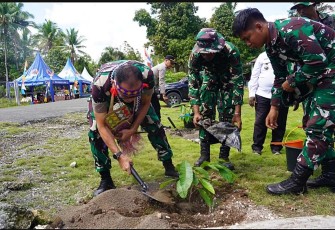 Tanam pohon produktif di Kampung Sesor