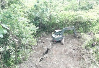 Pembukaan lahan ketahanan pangan di kampung Sesor