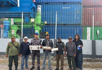 Gagalkan penyelundupan satwa dilindungi
