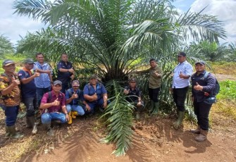 Holding Perkebunan Nusantara
