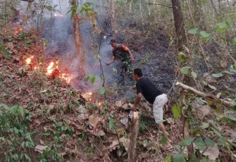 im Gabungan Padamkan Kebakaran Hutan di Trenggalek