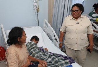 Wakil Menteri Dalam Negeri (Wamendagri) Ribka Haluk
