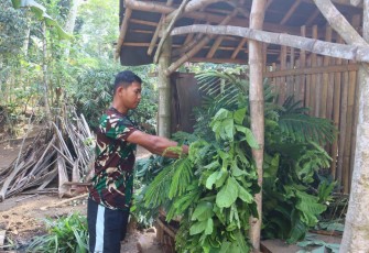 Prada Wakid bantu warga beri makan ternak
