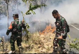 Gerak Cepat Warga dan Babinsa Padamkan Kebakaran Hutan di Dusun Panggung