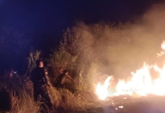 TNI Kerahkan 14.167 Personel Tangani Karhutla di Sejumlah Wilayah