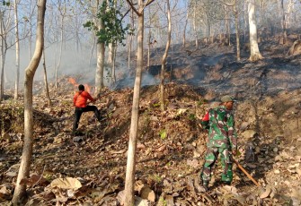 Sinergi TNI, Polri dan Unsur Terkait Atasi Kebakaran Hutan di Wilayah Ponorogo