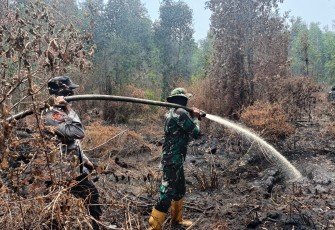 Kodam XIX/Tuanku Tambusai Bersama Tim Gabungan Sisir Titik Asap Karhutla di Pelalawan