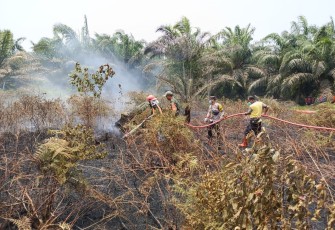 Karhutla Mukomuko Dipadamkan